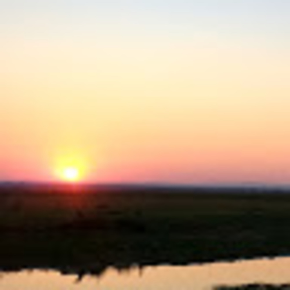 Meet your Posher, Madeline